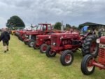 ashbyshow2023 (114)