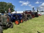 ashbyshow2023 (128)