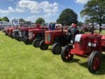 ashbyshow2023 (132)