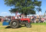 ashbyshow2023 (57)