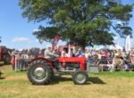 ashbyshow2023 (59)