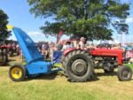 ashbyshow2023 (69)